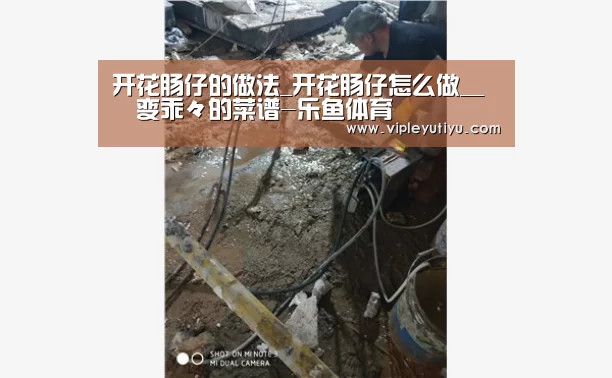 开花肠仔的做法_开花肠仔怎么做__蒍鉨变乖々的菜谱-乐鱼体育(图2) 开花肠仔的做法_开花肠仔怎么做__蒍鉨变乖々的菜谱-乐鱼体育(图2)