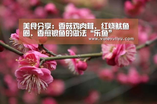 乐鱼体育app