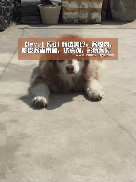 乐鱼体育app
